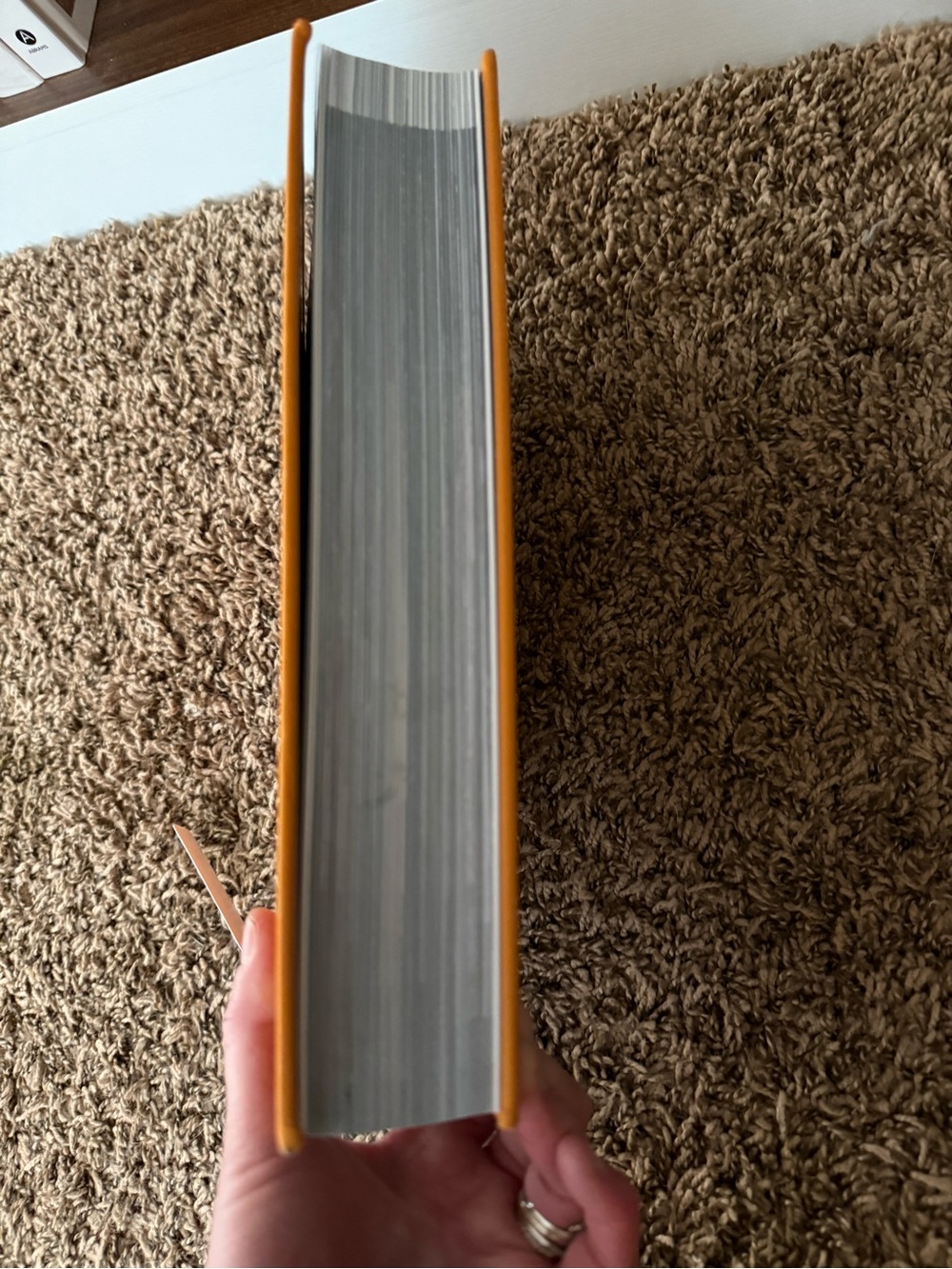 Louis Vuitton Catwalk Hardcover Book - Orange and White - Picture 3 of 4